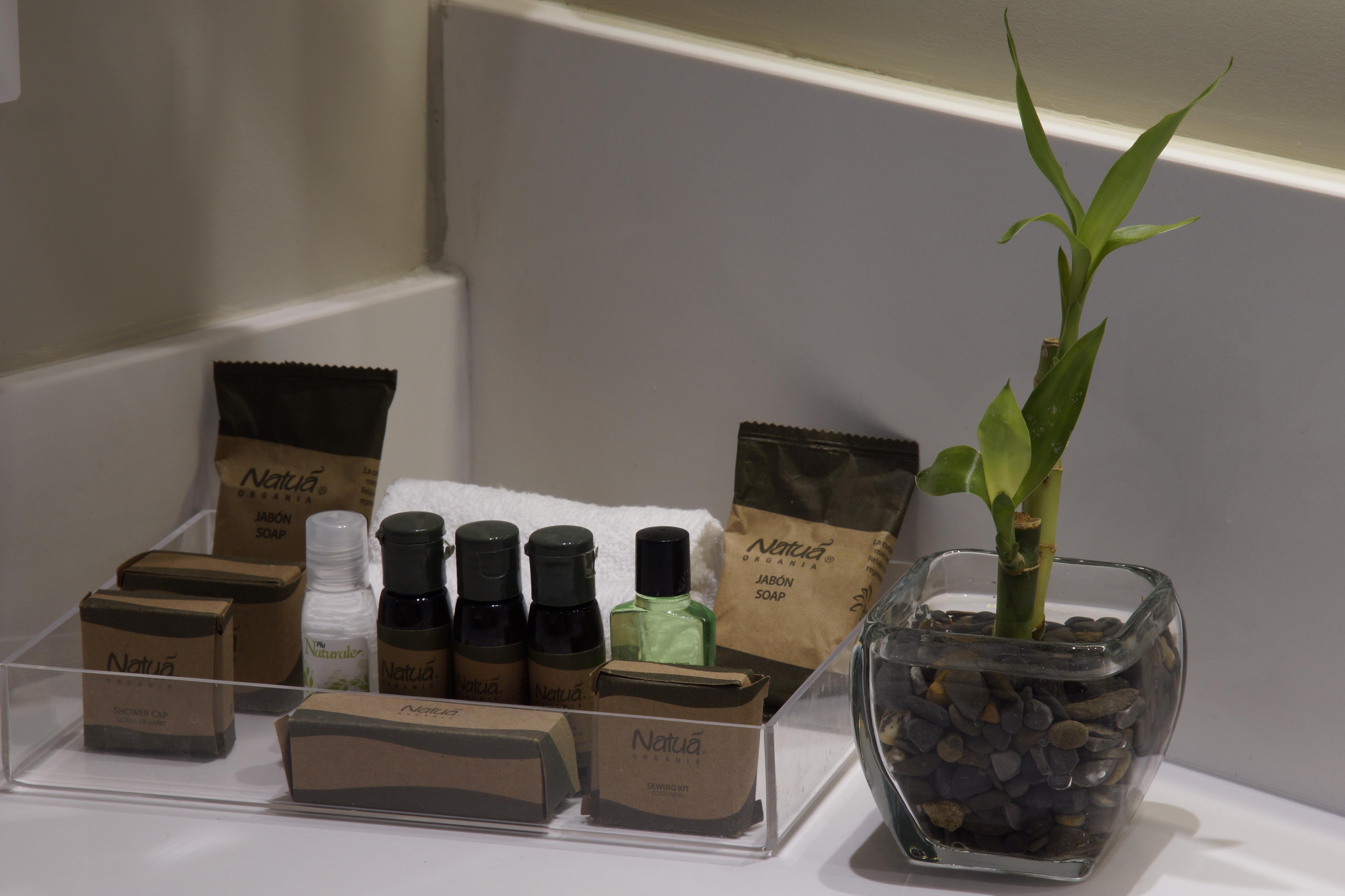 Isaaya Hotel Boutique By Wtc メキシコシティ エクステリア 写真