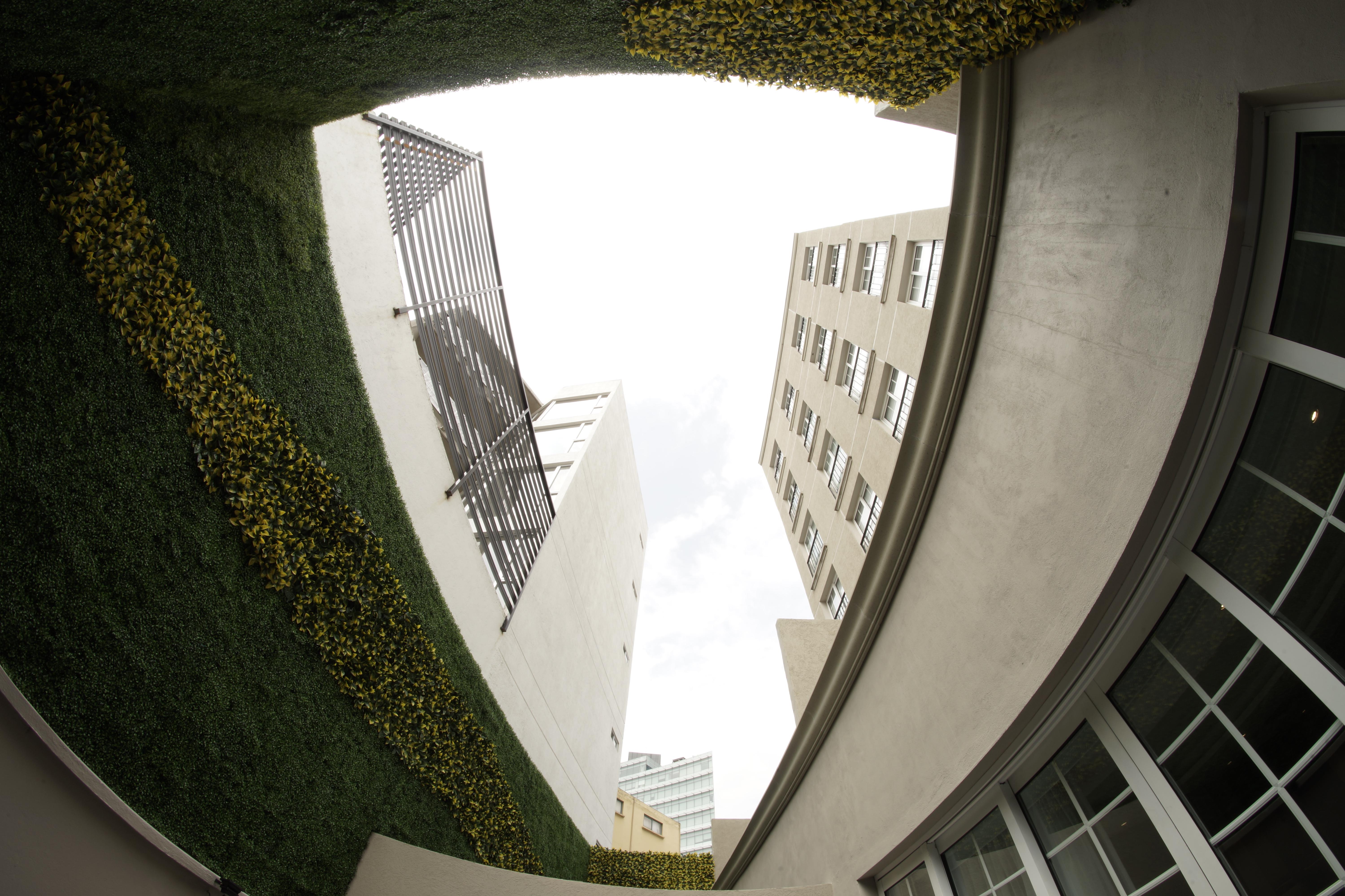 Isaaya Hotel Boutique By Wtc メキシコシティ エクステリア 写真