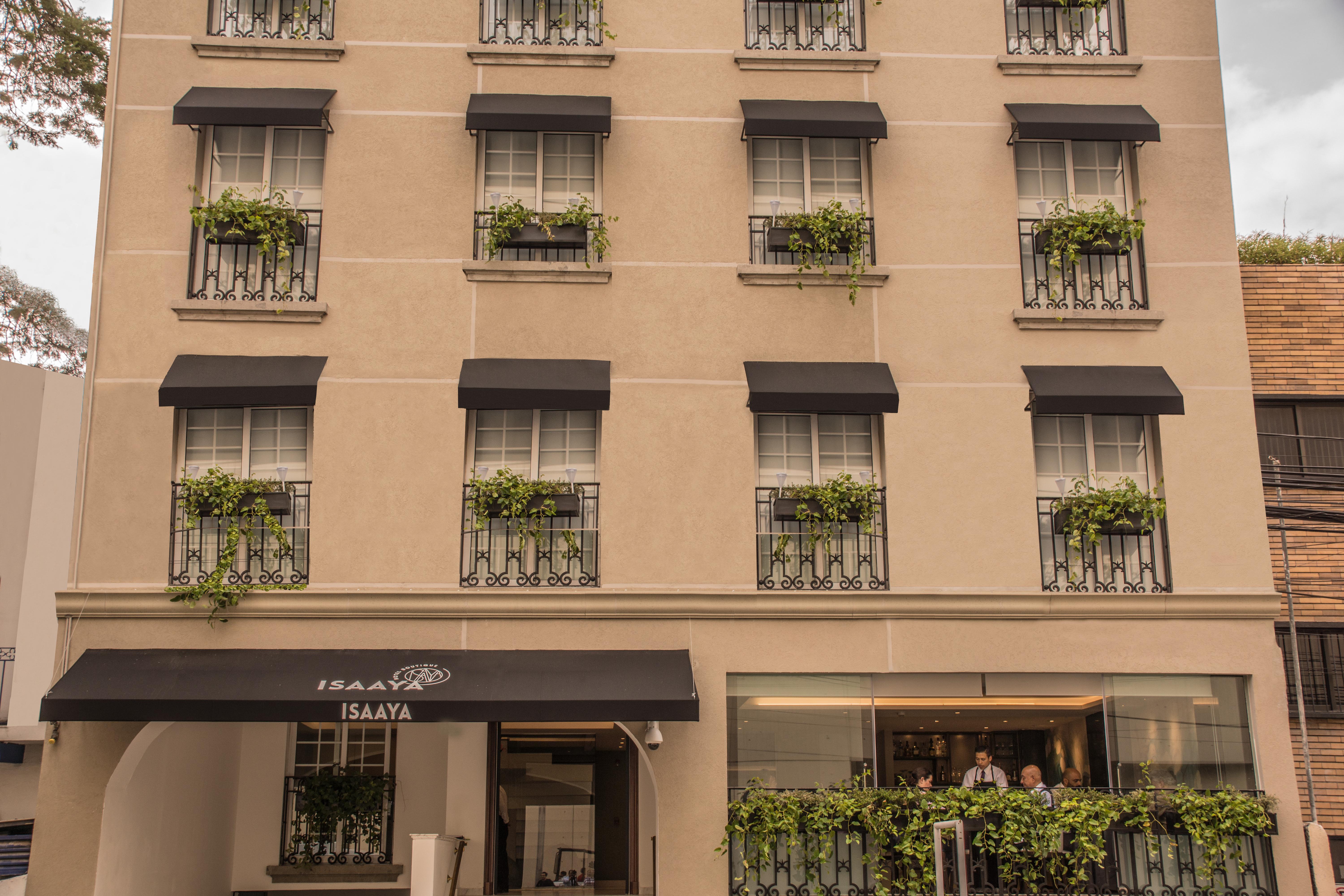 Isaaya Hotel Boutique By Wtc メキシコシティ エクステリア 写真